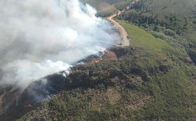 Imagen del incendio.
