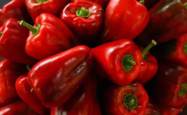 Pimientos del Bierzo.