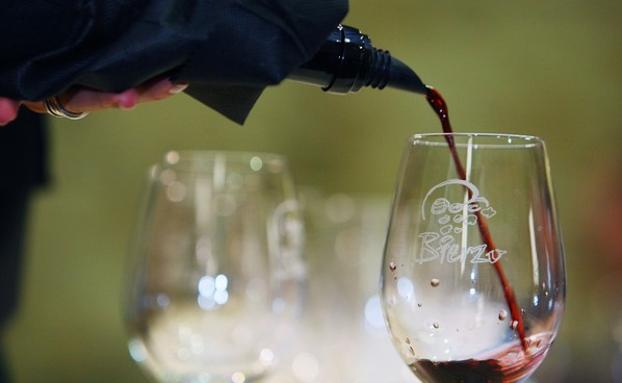 Los vinos de la DO Bierzo se presentan en Alemania./César Sánchez