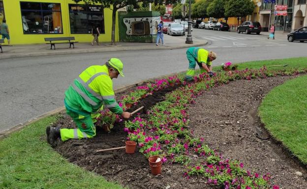 Trabajos de los operarios del servicio municipal de mantenimiento de Parques y Jardines en una de las rotondas de la ciudad./