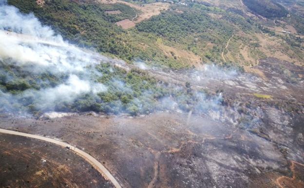 Incendio de Borrenes.