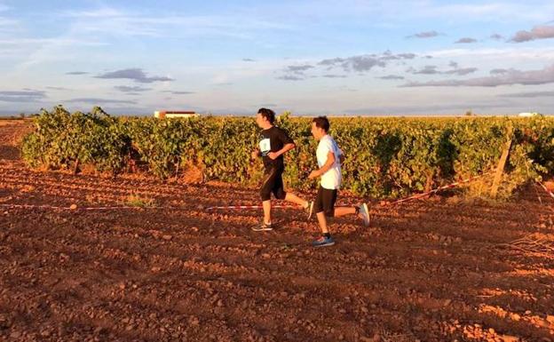 Carrera entre viñedos por la zona del Páramo./