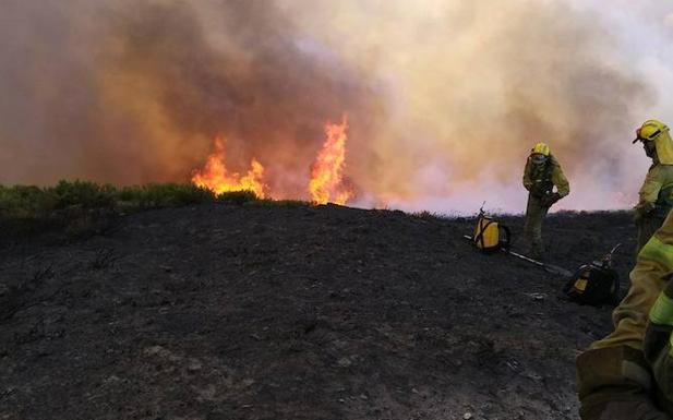 Las Brif de Tabuyo en el incendio de Caldas de Luna. /