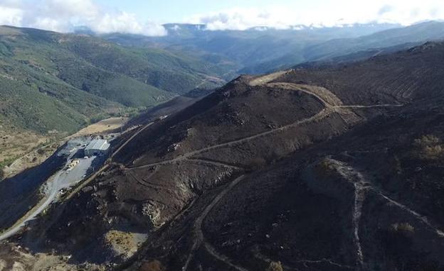 Huella del incendio de La Cabrera, el más grave este año en León. /