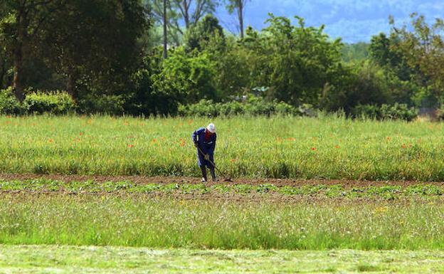 UCCL solicita la ampliación del plazo para la contratación del seguro de herbáceos