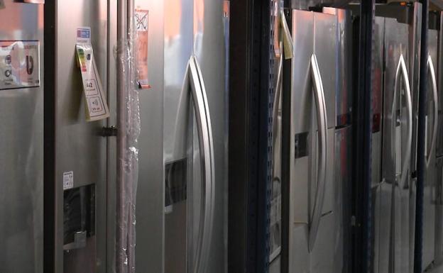 Los frigoríficos son uno de los electrodomésticos con más oferta.