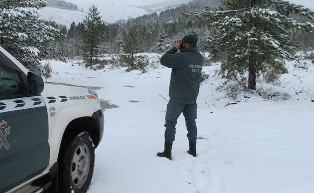 Un agente de la Guardia Civil, durante la búsqueda. /