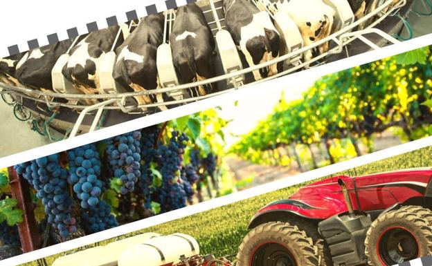 Agrícolas acogerá la primera edición de Finagro