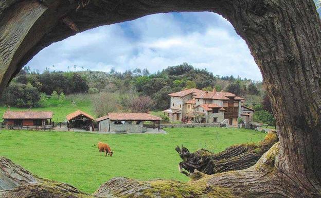 La Diputación destina 750.000 euros para impulsar proyectos empresariales en el mundo rural