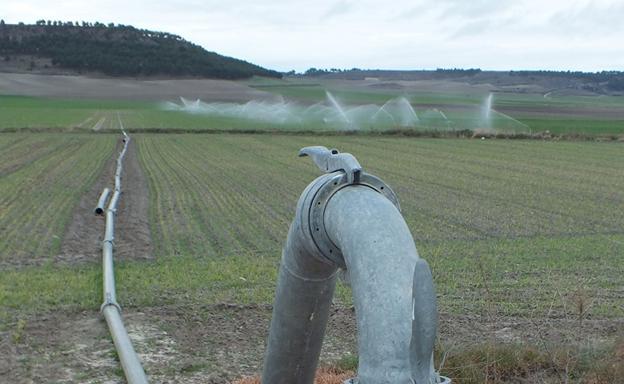 El campo de Castilla y León impulsa casi 56.000 hectáreas de riego en la última década