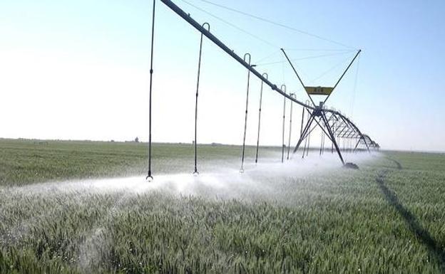 El campo afronta la campaña de riego pendiente del cielo porque «aunque ha mejorado la situación sigue habiendo sequía»
