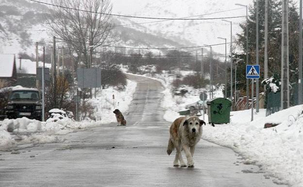 Imagen de una de las últimas nevadas en la provincia de León./