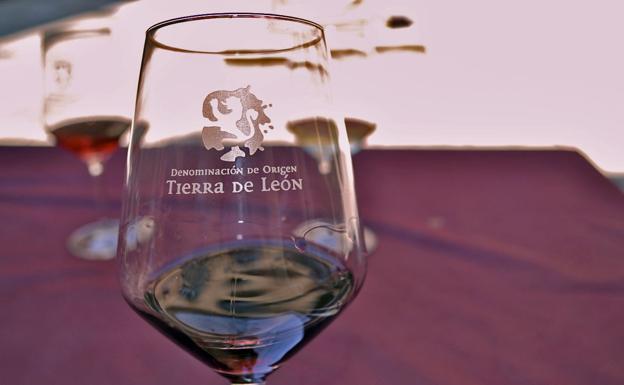 Vino DO Tierra de León./