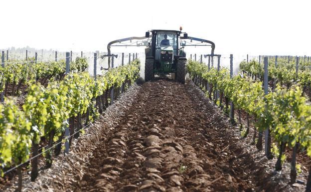 Ecologistas recurrirá el decreto que regula las condiciones ambientales de las industrias agroalimentarias