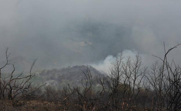 Uno de los incendios forestales de este verano en El Bierzo. /César Sánchez