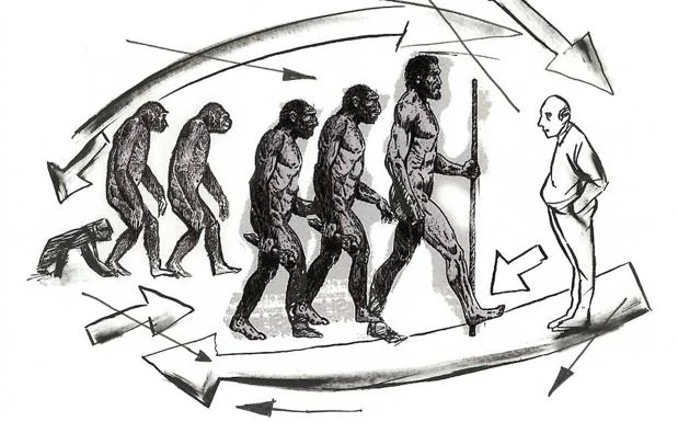 La mecánica de caminar similar a la humana evolucionó antes que el género  Homo | leonoticias