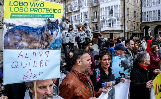 Decenas de personas se concentraron el pasado año en Vitoria para protestar contra de la caza del lobo /jesús andrade
