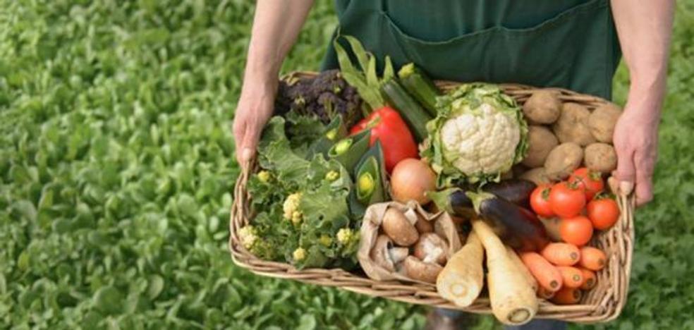 La exportaciones agroalimentarias se disparan un 32% desde 2015 y suponen el 18% de las ventas al exterior de la Comunidad en 2020 - Vimarsana News