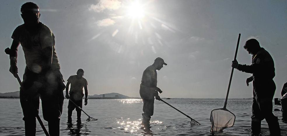 Ajedrez mortal en el Mar Menor - Vimarsana News