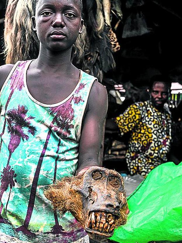Cadáveres como ofrendas. Puestos de verdura y de ofrendas para vudú se mezclan en el mercado de Cotonou